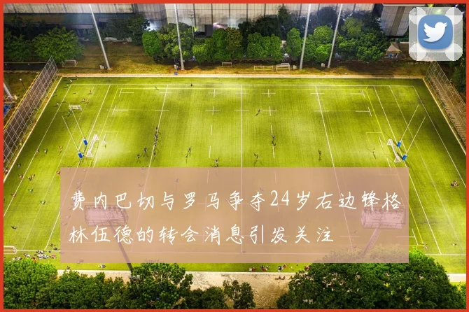 费内巴切与罗马争夺24岁右边锋格林伍德的转会消息引发关注